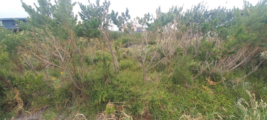 0 Bedroom Property for Sale in Pringle Bay Western Cape